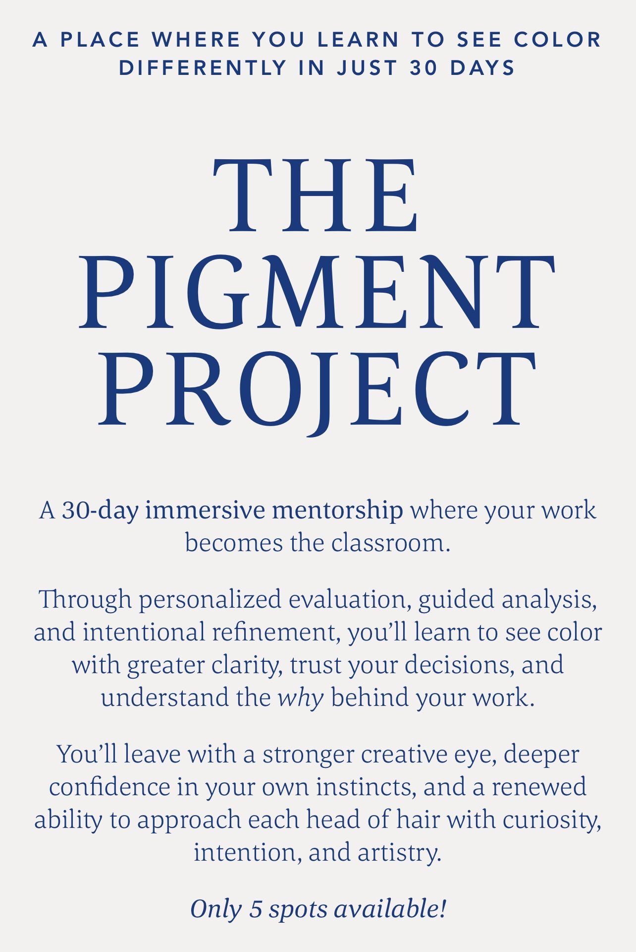 The Pigment Project